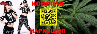 сатива Жуковский